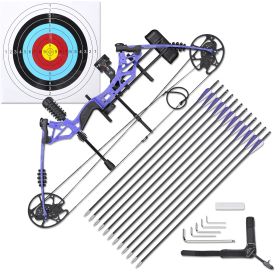 COMPOUND BOW - As Picture