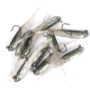 10pcs Lure Artificial Lure With Hook; Small Gray Fish Simulation Soft Bait - With Hook(golden) - 10pcs